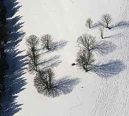 Wintersportler haben im Belchengebiet ihre Spuren hinterlassen