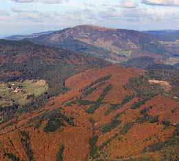 Herbststimmung im Südschwarzwald bei Wies-Kühlenbronn